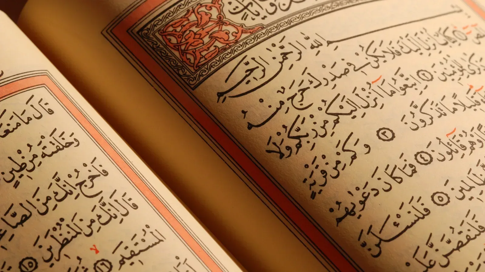 Quran Memorization (Hifz) with Tajweed